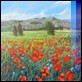 Dipinti ad Olio -  - Campo di papaveri