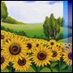 Dipinti ad Olio -  - Campo di girasoli