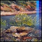 Dipinti ad Olio - - G. Apicella "Scogliera"