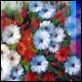 Dipinti ad Olio - - Vaso con fiori