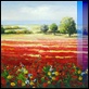 Dipinti ad Olio - - Paesaggio