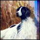 Dipinti ad Olio - - Pointer