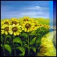 Dipinti ad Olio - - Claudio Marra "Girasoli"