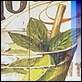 Offerte Speciali -  - Mojto e Margarita