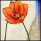 Quadri Moderni -  - Sarah Walker "Tulip silhouette"